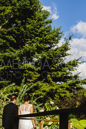 SJ_0250