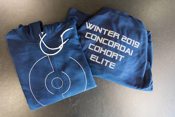 ConcordAI_2019_0201